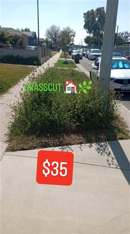 Grasscut 🌿👷🏻🏡 $35 image 2