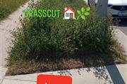 Grasscut 🌿👷🏻🏡 $35 thumbnail