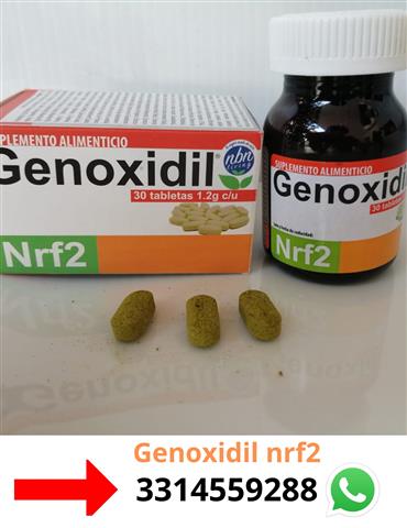 nrf2 antioxidante image 1