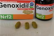 nrf2 antioxidante