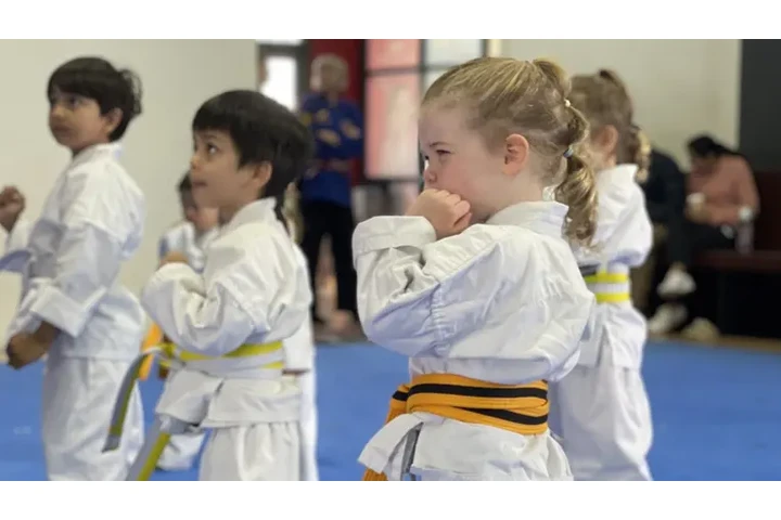 Children Martial Arts Classes image 1