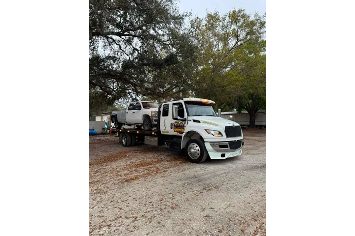 GRUAS TIATOWING image 8