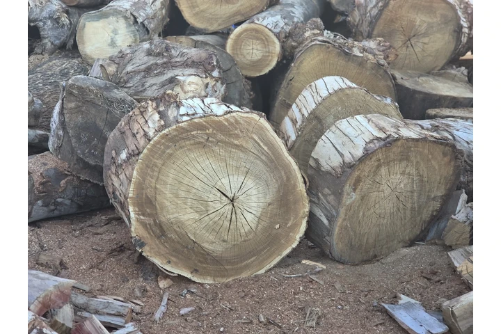 $25 : Venta de leña image 4