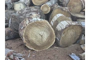 $25 : Venta de leña thumbnail