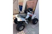 $1400 : Raptor 80 - 2005 thumbnail