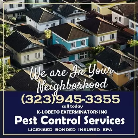 PEST CONTROL SERVICES 24/7.- image 8