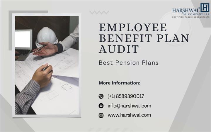 Employee Benefit Plan Audit image 1