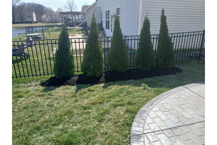 Garcia Landscaping image 9