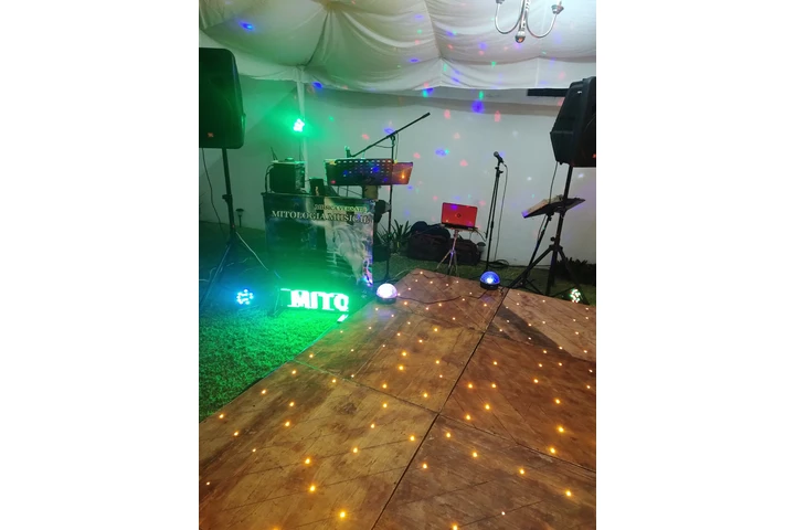 Dueto musical versátil image 4