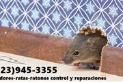 Pest Control Orange County thumbnail