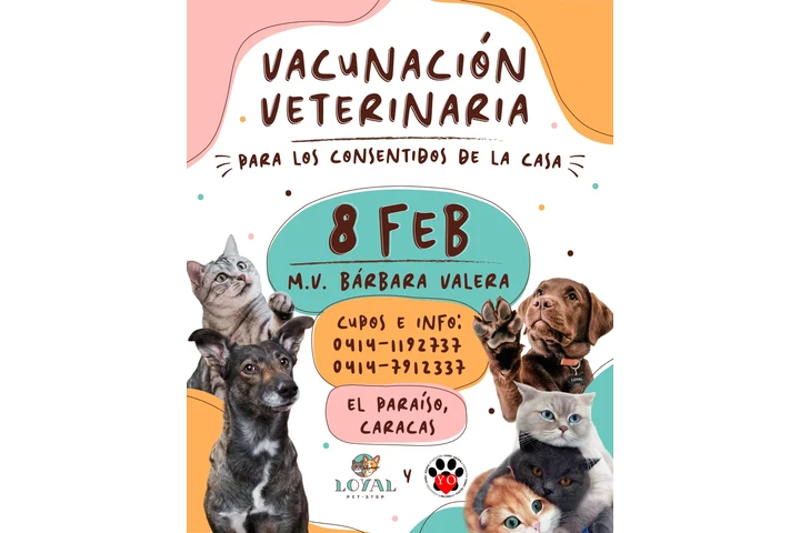 Vacunación Veterinaria Mensual image 1