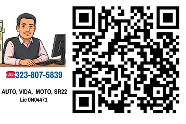 $77 : TODO TIPO DE SEGURO !!! image 1