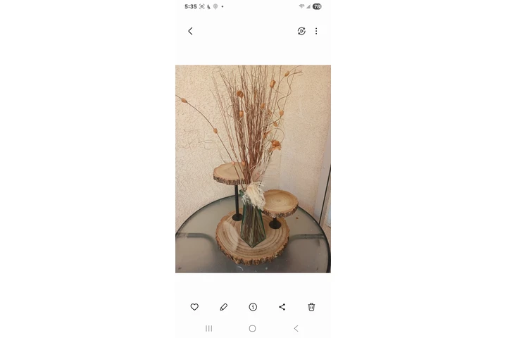 Se renta yarda Boho image 1