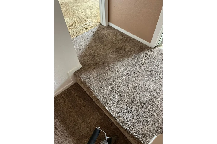 Rafa Carpet Cleaning image 6