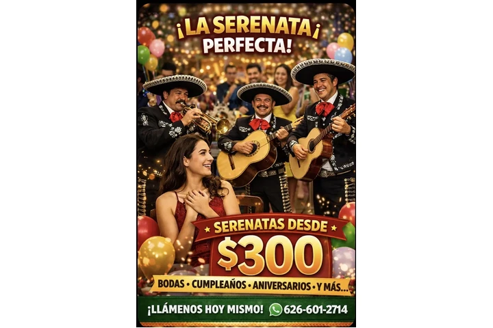 🎺MARIACHI SERANATA🎻🎻 image 1