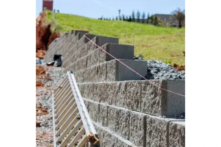 🌳 JARDINERÍA Y LANDSCAPING 🌳 image 8