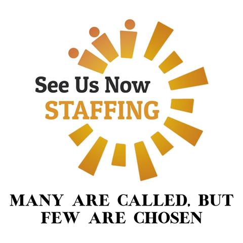 See Us Now Staffing image 1