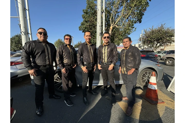 GRUPO VERSATIL (MARCAMS) image 3