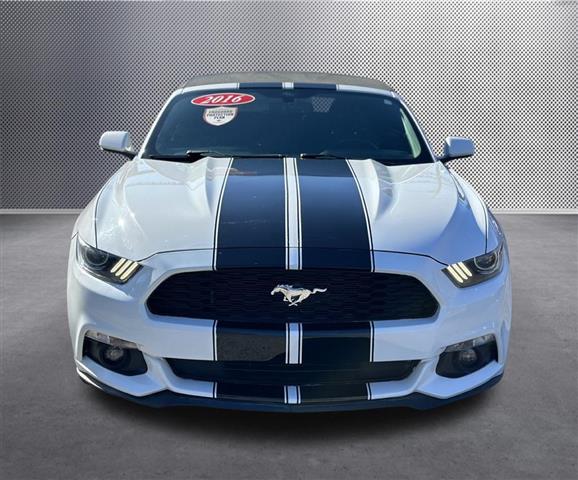 $16659 : 2016 Mustang V6 image 2
