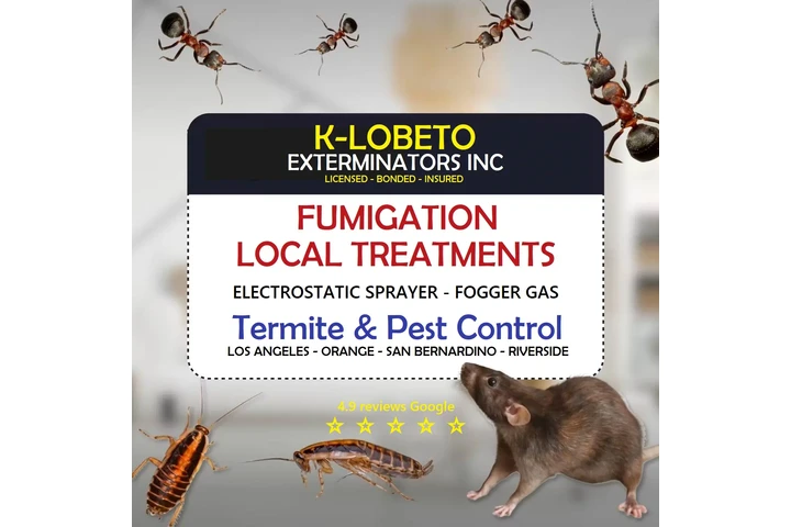 FUMIGACIONES TERMITAS 24/7 L.A image 9