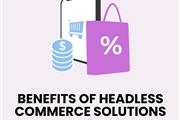 Headless Commerce Solutions en Wilmington