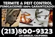 EXTERMINATORS #1 CLASIFICADOS en Los Angeles