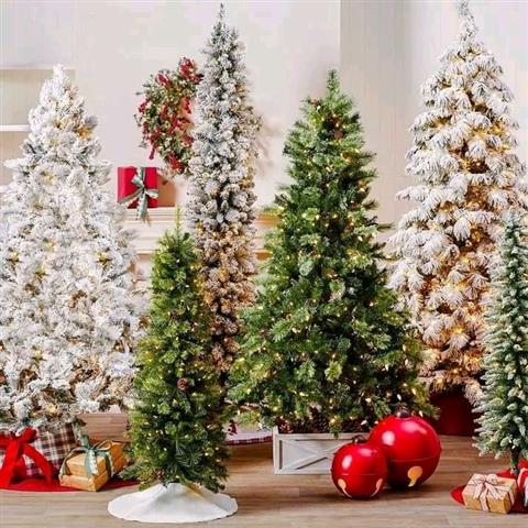 $205 : Decorated Christmas Trees image 1