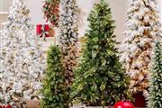 Decorated Christmas Trees en Austin
