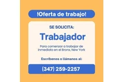 Oferta de trabajo en Bronx