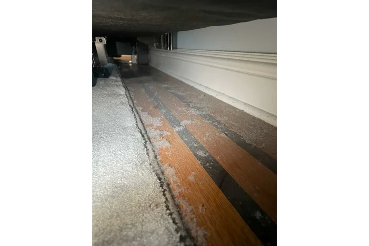 Irene Maid Services.30 image 1