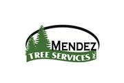 Mendez Tree Service en Chicago