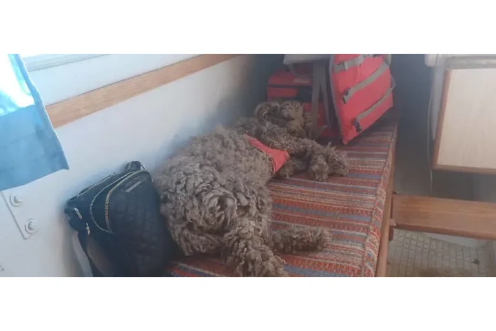 $18995 : 1974 coastal sailboat image 5