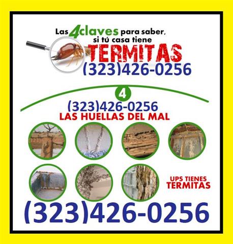 ➟TERMITE PEST CONTROL image 1