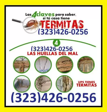 ➟TERMITE PEST CONTROL image 1