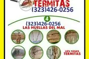 ➟TERMITE PEST CONTROL en Los Angeles