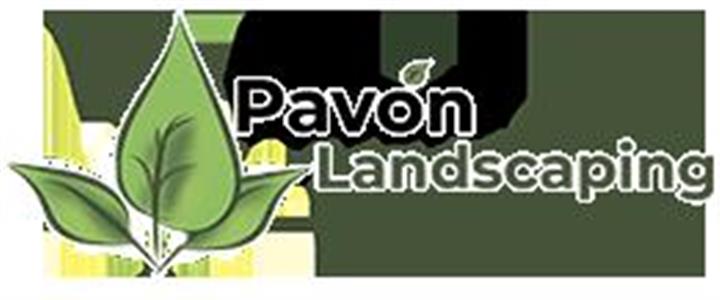 Pavon Landscaping image 1