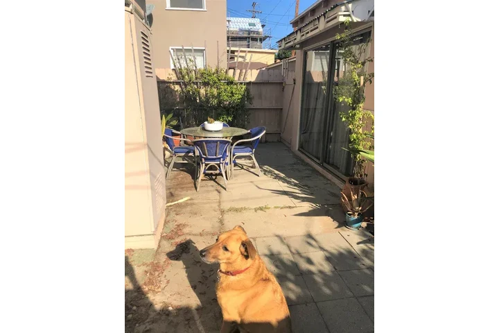 $1200 : Cozy 1-Bedroom and 1-Barhroom image 8