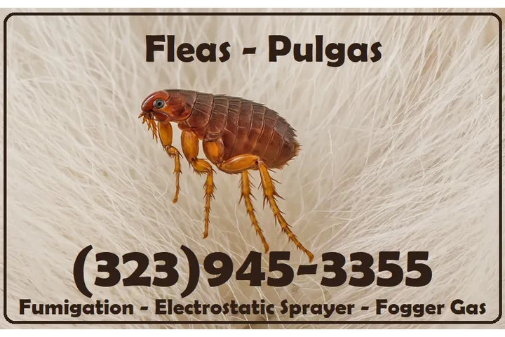 FUMIGACIONES - EXTERMINADORES image 7