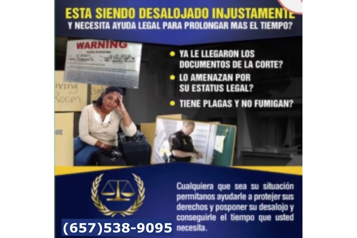 DESALOJOS EXPERTOS image 3