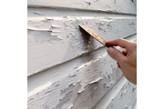 Stain, Painting, Landscaping en Orlando