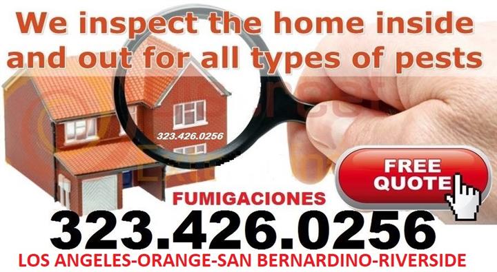 FUMIGADOR TERMITAS 24/7 ORANGE image 10