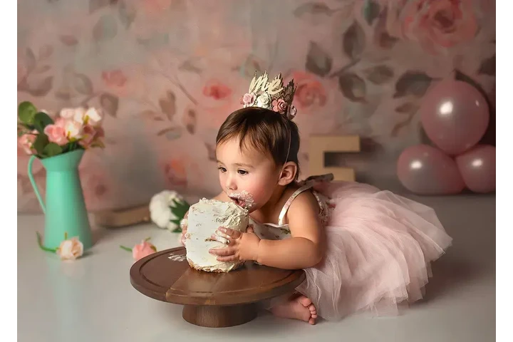 Houston Newborn Photographer image 4