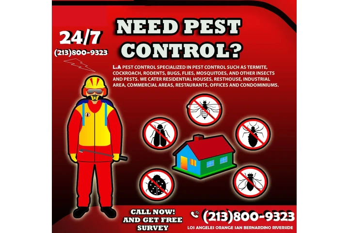 CONTROL TERMITAS (213)800-9323 image 6