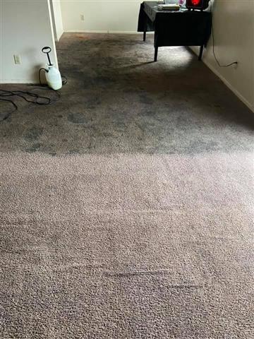 Ramírez carpet cleaning image 3