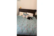 House cleaner thumbnail