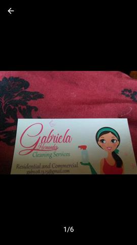 Gabriela cleaning services image 1