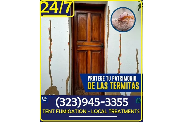 FUMIGACIONES TERMITAS 24/7.- image 4