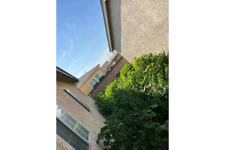 Jardinero $35🍀🌿💳📱 image 4