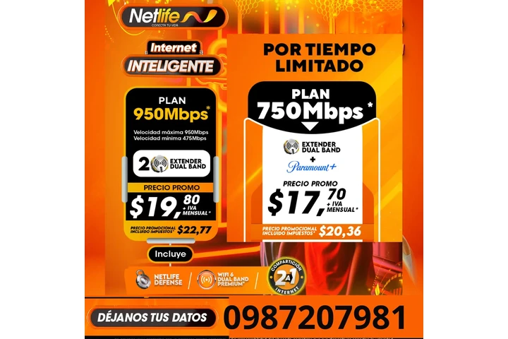 NETLIFE 0987207981 image 5