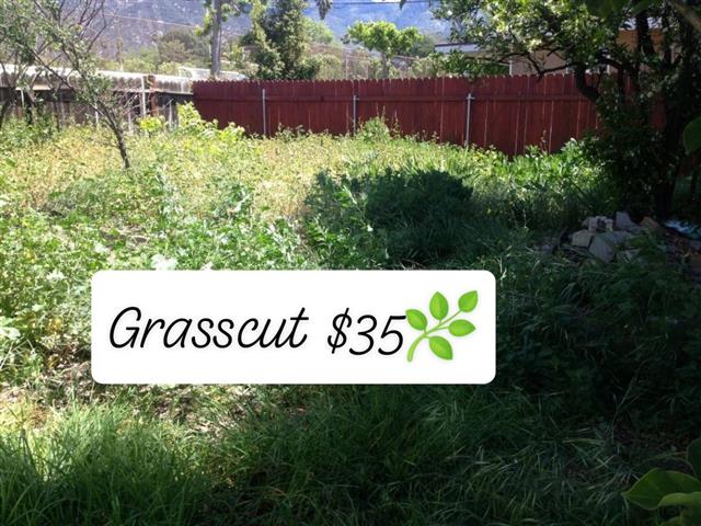 Grasscut 🌿👷🏻🏡 $35 image 1
